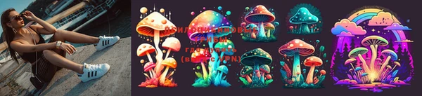 PSILOCYBIN Алексеевка