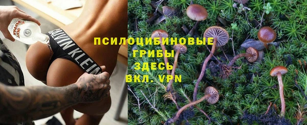 PSILOCYBIN Алексеевка