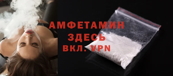 шишки Осташков