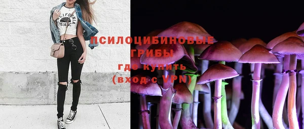 PSILOCYBIN Алексеевка