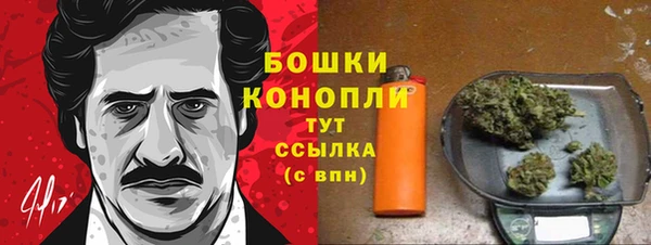 шишки Осташков