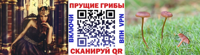 Галлюциногенные грибы MAGIC MUSHROOMS  Чехов 